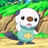 Oshawott dewott