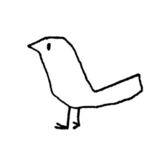 littlebird