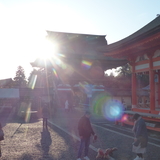 けも