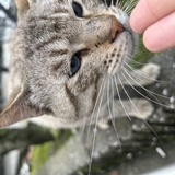 こと