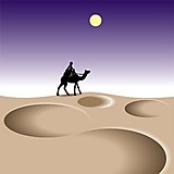 月野沙漠