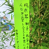 ストロンガー