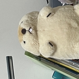 なぽりたん