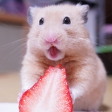でく