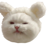 ぬーんっ