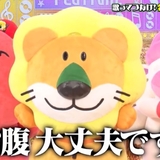もちゃん