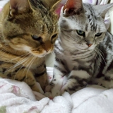 ちえべ