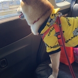 るこ