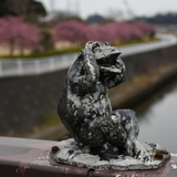 雨逸福