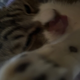 あまねん