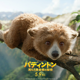 ぱでんとん