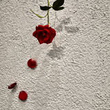 fullofpromise