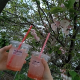 りまじゅ