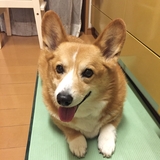 おもこ