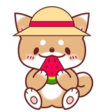 くーまま