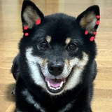 きほ