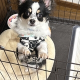あすか