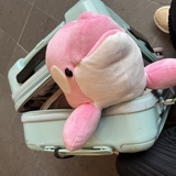 かなめ