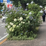 いち