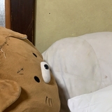 りゅのすけ