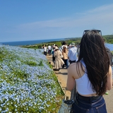 ぴーなっつ