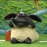 りんこよーん