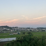 まめまめ