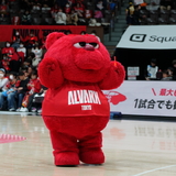 横浜のアルバルカーズ