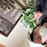 みぃ