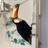 のり