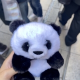 琉矢