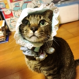 みっち