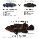 タマクエ