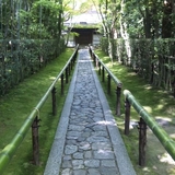 NOBU