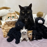 みほ