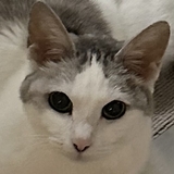 まる