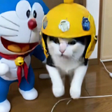 いかこ
