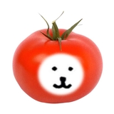 燦