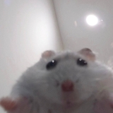 Yさん