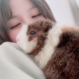 はつね