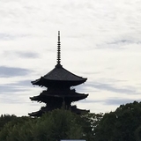 すもも丸