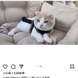 さんどん