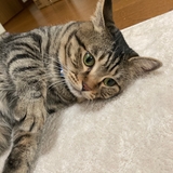 あるく
