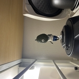 アミニウム