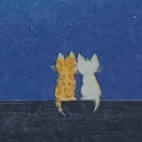 イトヨリ