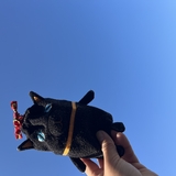 ニャオ美