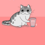 猫の国の民