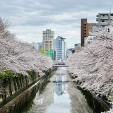 シンケン