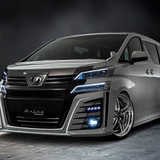 ヨッシー55