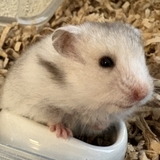つん